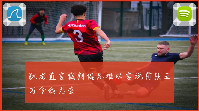 狄龙直言裁判偏见难以言说罚款五万令我无奈