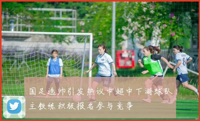 国足选帅引发热议中超中下游球队主教练积极报名参与竞争