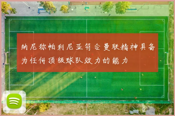 纳尼称帕利尼亚符合曼联精神具备为任何顶级球队效力的能力